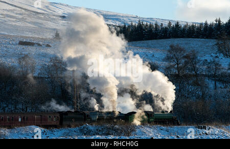 Wensleydale, North Yorkshire. 2. Februar 2019. Eine "Double Header" auf der berühmten Settle Carlisle Linie als 2 Motoren, 61306 "Mayflower" und Motor 35018 "britischen Indien Line" vom Bahnhof Tournee Unternehmen Richtung Garsdale Kopfstation unter den Schnee im oberen Wensleydale, North Yorkshire. Credit: Wayne HUTCHINSON/Alamy leben Nachrichten Stockfoto