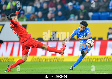 Sinsheim, Deutschland. 02 Feb, 2019. Fussball: Bundesliga 1899 Hoffenheim - Fortuna Düsseldorf, den 20. Spieltag in der PreZero Arena. Von 1899 Hoffenheim Reiss Nelson (r) gegen die Düsseldorfer Alfredo Morales. Foto: Uwe Anspach/dpa - WICHTIGER HINWEIS: In Übereinstimmung mit den Anforderungen der DFL Deutsche Fußball Liga oder der DFB Deutscher Fußball-Bund ist es untersagt, zu verwenden oder verwendet Fotos im Stadion und/oder das Spiel in Form von Bildern und/oder Videos - wie Foto Sequenzen getroffen haben./dpa/Alamy leben Nachrichten Stockfoto