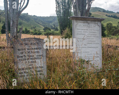 Zwei memorial Grabsteine für die Soldaten der Regierung getötet Mai 1869 durch Tuhoe Krieger Widerstand gegen die Invasion, Ruatahuna, Te Urewera, North Island, Neuseeland Stockfoto