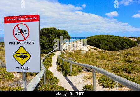 Eine alte Warnschild auf einen Pfad zu einem idyllischen Strand in Rottnest Island, Touristen Beratung nicht zu, weil der Hai Gefahr im klaren, blauen Wasser schwimmen Stockfoto