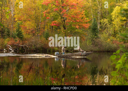 Bootsfahrer auf der East Fork des Chippewa River an der Grenze der Chequamegon National Forest. Stockfoto