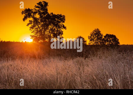 Die Morgensonne über den Horizont Spähen in Crex wiesen Naturschutzgebiet. Stockfoto