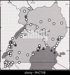 . Bonner zoologische nach 1550. Zoologie. THORN & Amp; CURBIS PETERHANS, kleine Säugetiere VON UGANDA unter Experten. Es fehlt noch immer Konsens, den wir hier behandeln alle Formen von dieser Gruppe, als ob Sie sich Unterarten von C. nigrofiisca, aber genetische Studien und weitere morpho- logischer Detail ein anderes Bild vermitteln könnte. Wir haben die meisten unserer Material, bevor detaillierte von McLellan Ana-lyse verfügbar war, und die Klassifizierung, die sich weitgehend auf geographische Freischaltungen. Die Artengruppe bewohnt bewaldeten Savannen- und offene Wald durch viel von Uganda und weit verbreitet in E- und C-Afrika. Set-zer (1956) die Frage nach der Stockfoto