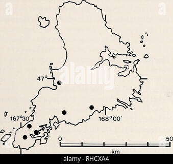 . Bonner zoologische nach 1550. Zoologie. 125. Abb. 46: Verteilung der Hoplo - dactylus rakiurae auf Stewart ist - Land, Neuseeland. Hoplodactylus stephensi Robb, 1980 1977 Holplodactylus pacificus (Teil) Robb & Amp; Rowlands. Ree. Auekland Inst. Mus. 14:137. 1980 Hoplodactylus stephensi Robb. Neuseeland Amphibien und Reptilien in der Farbe: 60; PL. l2 (unten links und rechts). 1980 Hoplodactylus stephensi Robb. Rec. Natl. Mus. Neuseeland 1: 308, Abb. IB. Art ort: Stephens Island, Neuseeland. Holotypus: NMNZ R 1858. Diagnose: die Ziffern scansorial, erweitert, proximalen Teil etwa doppelt so hoch wi Stockfoto