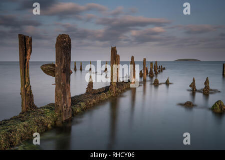 Die Groynes bei Pilmore, Co Cork, die Ruinen eines Landschutzsystems Stockfoto