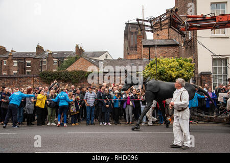 Liverpool's Dream Xolo der Hund Riesen Stockfoto