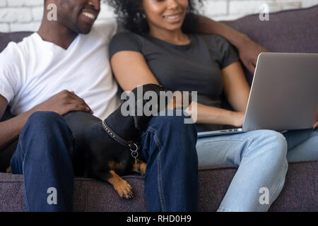 Hund legt sich auf schwarze Familie Knie am Laptop suchen Stockfoto