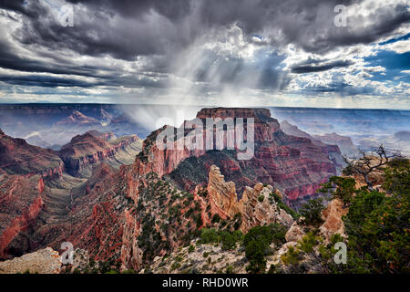 Gewitter und Sonnenstrahlen über Grand Canyon, Wotans Throne, Cape Royal Viewpoint, Arizona, USA Stockfoto