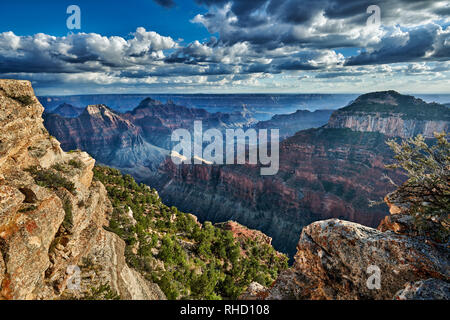 Grand Canyon, Bright Angel Point, North Rim, Arizona, USA, Nordamerika Stockfoto