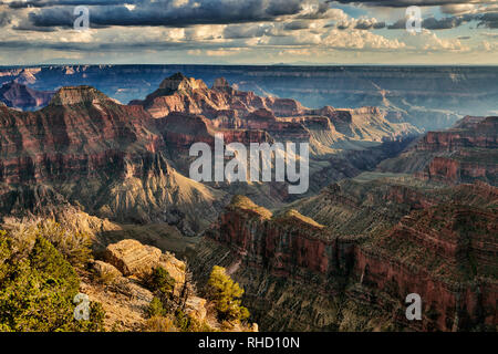 Grand Canyon, Bright Angel Point, North Rim, Arizona, USA, Nordamerika Stockfoto