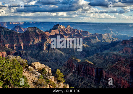 Grand Canyon, Bright Angel Point, North Rim, Arizona, USA, Nordamerika Stockfoto