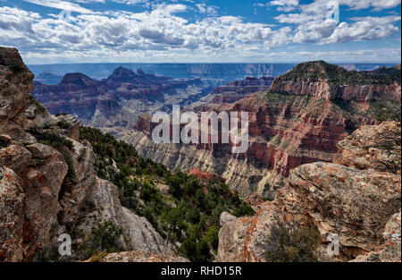 Grand Canyon, Bright Angel Point, North Rim, Arizona, USA, Nordamerika Stockfoto