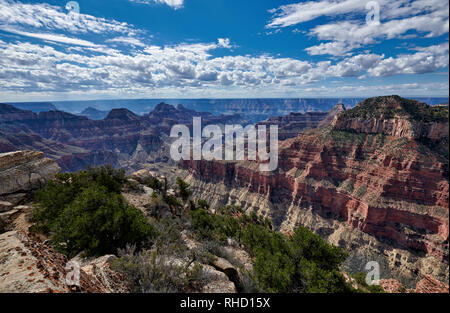 Grand Canyon, Bright Angel Point, North Rim, Arizona, USA, Nordamerika Stockfoto