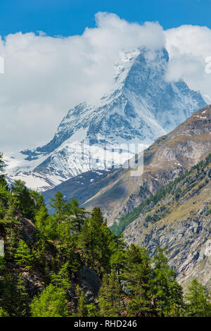 Sommer Matterhorn view (Alpen, Schweiz, Zermatt ortsrand) Stockfoto