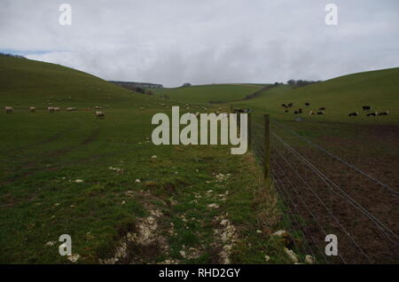 Compton Valence. Der Macmillan. Weitwanderweg. Dorset. England. Großbritannien Stockfoto