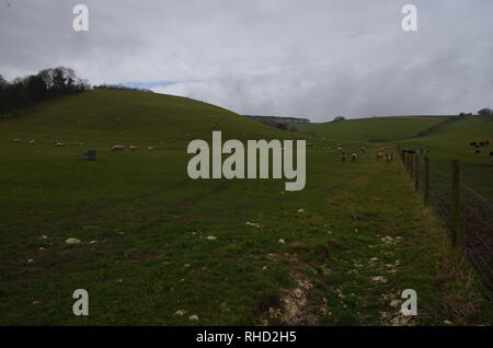 Compton Valence. Der Macmillan. Weitwanderweg. Dorset. England. Großbritannien Stockfoto