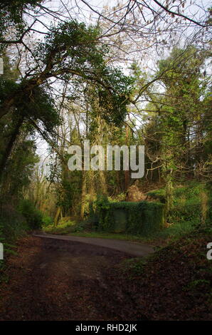 Compton Valence. Der Macmillan. Weitwanderweg. Dorset. England. Großbritannien Stockfoto