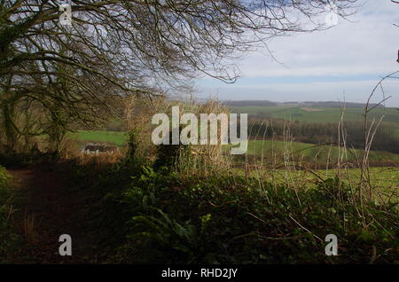 Compton Valence. Der Macmillan. Weitwanderweg. Dorset. England. Großbritannien Stockfoto