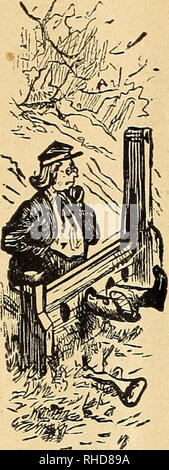 . Buch der Blumen von Fräulein Martha Hiser, seedswoman und Floristen. Saatgut Industrie und Handel; Samen; Blumen; Pflanzen, Zierpflanzen. 28. Bitte beachten Sie, dass diese Bilder sind von der gescannten Seite Bilder, die digital für die Lesbarkeit verbessert haben mögen - Färbung und Aussehen dieser Abbildungen können nicht perfekt dem Original ähneln. extrahiert. Fräulein Martha Hiser (Hart); Henry G. Gilbert Baumschule und Saatgut Handel Katalog Kollektion. Urbana, Oh. : Fräulein Martha Hiser, seedswoman und Blumenladen Stockfoto