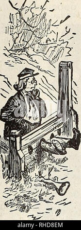 . Buch der Blumen von Fräulein Martha Hiser, seedswoman und Blumenladen, Urbana, Ohio. Saatgut Industrie und Handel; Samen; Blumen; Pflanzen, Zierpflanzen, Gemüse. . Bitte beachten Sie, dass diese Bilder sind von der gescannten Seite Bilder, die digital für die Lesbarkeit verbessert haben mögen - Färbung und Aussehen dieser Abbildungen können nicht perfekt dem Original ähneln. extrahiert. Fräulein Martha Hiser (Hart); Henry G. Gilbert Baumschule und Saatgut Handel Katalog Kollektion. Urbana, Oh. : Fräulein Martha Hiser, seedswoman und Blumenladen Stockfoto