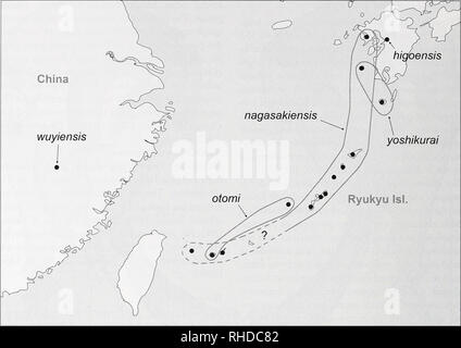 . Bonner zoologische nach 1550. Zoologie. BONNER ZOOLOGISCHE / Nr. 58/2011. Abb. 2077. Verteilung der Pholcus nagasakiensis Artengruppe bekannt. Die meisten Ph. nagasakiensis lo-cahties sind von Irie (1997); einige von ihnen (vor allem die Südlichen) kann es sich um Ph. otomi. 17' b pm, Durchmesser PME 175 pm, Abstand PME-ALE 45:00, 45:00 AME AME, Durchmesser v^MICH 105 pm. Okuläre Bereich leicht erhöht, wenige Haare posterior am Okular. Keine thorakale Furche, nur dunkle Linie vorher; clypeus unverändert. Wie in Abb. Chelizeren. 2080, distalen apophyses mit zwei modifizierten Haare Stockfoto