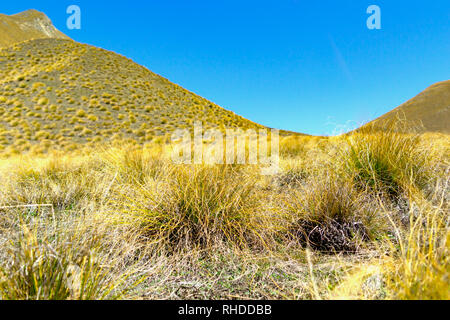 Lindis Pass Landschaft tussock bedeckten Hügeln Stockfoto