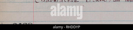 . Buch 22, Identifikation, Muster. 4872-6471, undatiert. Botaniker; Botanik. 9 J V J19 f^6448L/ftdnM iY^. V. Bitte beachten Sie, dass diese Bilder sind von der gescannten Seite Bilder, die digital für die Lesbarkeit verbessert haben mögen - Färbung und Aussehen dieser Abbildungen können nicht perfekt dem Original ähneln. extrahiert. Allard, H. A. (Harry Ardell), 1880-1963. Stockfoto