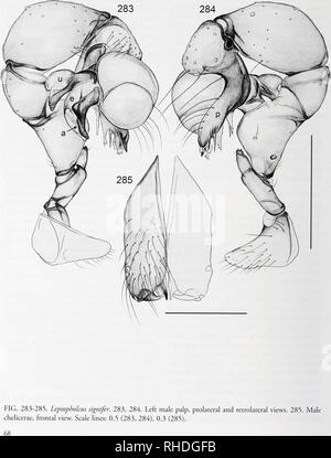 . Bonner zoologische nach 1550. Zoologie. BONNER ZOOLOGISCHE / Nr. 58/2011. Bitte beachten Sie, dass diese Bilder sind von der gescannten Seite Bilder, die digital für die Lesbarkeit verbessert haben mögen - Färbung und Aussehen dieser Abbildungen können nicht perfekt dem Original ähneln. extrahiert. Bonn, Zoologisches Forschungsinstitut und Museum Alexander Koenig Stockfoto