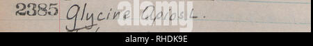 . Buch 20, Identifikation, Muster. 1167-2871, 1937 und Undatiert. Botaniker; Botanik. 84' (Brj &Amp; J&gt;**" Ich 44 TL* £. Ist/a denfa* (Lhlo ropkue. cL jL. ^imp fax Qr/aU^) G-Rn. 2418 £ OLespihfcfCL loccLonl" ein Paar) TJa &Amp; rh ^ L'Dxt *. Cla. aioKi" cicea. e CUdom' cx. papillaris jC Mo/Ar/die (Hofi^) Sckc^r^ 2414. LicM&gt; **&gt; Cladowi ace. 0 £ f £ W* w ABL. Nicht Tit? 2416 Z, £ Aco6r {j" w gkutun, MSd*^. '4* J-D'cranum Sap^ Riu*. [Lj/Jedu lief clc.cm. z-. 2418 D/crativwL scoft&amp; Ti'um (U UeJiu) Mutter*, v 2419 po (y} Ric^ u0^ 0^ ioC 0 LS €^R.+C. fas * Poi/j Frt'ch CllCjle -. 2420/. jl ULmfellfg/VVu pui Stockfoto