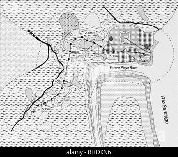 . Bonner zoologische nach 1550. Zoologie. Abb. 9. Blick von der zweiten Etage des Gebäudes an der Playa Rica. Der Trail führt zum Ufer des Rio Santiago (Abb. 8). Transekt MNT 2 wurde im Feld befindet - Holz - wie Nachfolge Vegetation in der rechten Hälfte der Abbildung (Abb. 10, links). Der große Baum auf der linken Seite war ein 'Matapalo' Ficus sp. (Moraceae), einem würgefeige, die am Ufer des Flusses stand. Rolling Tiefland, Hügel im Hintergrund (MNT 2, Abschnitt A, Elev. 66 m, 27Apr.97). 44. Bitte beachten Sie, dass diese Bilder aus gescannten Seite Bilder, die digital wurden en extrahiert werden Stockfoto