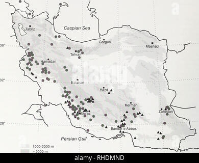 . Bonn zoologische Bulletin. Zoologie. 72 Hossein Rajaei Shoorcheh 48 52° 56 60. 9 G. colchidaria 0. kasrunensis Abb. 32. Verteilung Karte von G. und G. kasrunensis colchidaria im Iran. Diskussion trotz intensiver Suche auf vielen Primus Sträucher in einer Anzahl der iranischen Städte und Gemeinden für unreife Stadien der Gnopharmia, keine Eier, Larven oder Puppen wurden in der Natur gefunden. Natürlich ist es oft schwierig, die Eier der Motten im Feld zu finden, aber im Falle von Gnopharmia diese Schwierigkeiten können auch auf die Existenz eines sogenannten "FLORI-comus" auf der Ovipositor der Gnopharmia Frauen bezogen werden. Nume Stockfoto