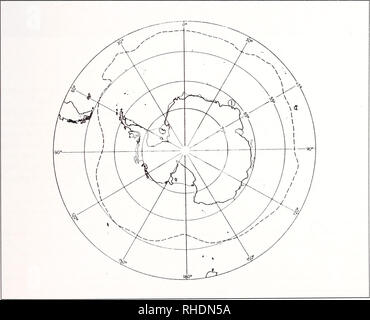 . Bonner zoologische nach 1550. Zoologie. UTEVSKY, ANTARKTIS PISCICOLID BLUTEGEL Gattung Utevsky Epsteinia A., 1994 Art: Trulliobdella alba Epstein, 1970 Nicht groß Blutegel. Körper deutlich unterteilt in tra-chelosome und urosome. Segmentale ocelli abwesend. Vollständigen somiten 3-annulate mit zusätzlichen Hauptversammlung. Anterior sucker: Kleine, deutlich von trachelosome unterteilt, glatte Oberfläche, Augen oder Auge - wie stellen, nicht vorhanden. Hintere Kopfeinheit sucker: Kleine, deutlich von urosome unterteilt, glatte Oberfläche, ocelli abwesend. Verdauungssystem. Esophageal diverticula vorhanden. Erntegut Kammern rautenförmigen wit Stockfoto