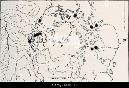 . Bonner zoologische nach 1550. Zoologie. 125 Phytogeographical Aspekte über 80% der Afromontane und Afroalpine Flora sind endemisch in den bergmassiven von Zentral- und Ostafrika (Hedberg 1961). Erfüllungs taxa Auftreten der verschiedenen Status. Einige Arten sind auf alle oder die meisten dieser Berge verteilt, wie Subularia oreophytus monticola, Ranunkeln, Swertia macrosepala oder Disci stairsii. Hedbergia abyssinica ist auch hoch in den Bergen von Äthiopien, Kamerun und Malawi gefunden. In einigen Fällen, Arten Gruppe von Bergen begrenzt. Ein gutes Beispiel ist die Gattung Bartsia, wo B. macrophyyla occ Stockfoto