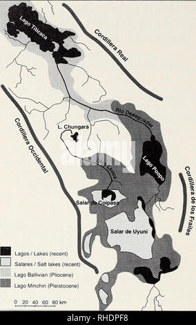 . Bonner zoologische nach 1550. Zoologie. 56. Abb. 1: Karte der alten Wasser Körper und ist den letzten überrest im Altiplano (Entwurf von Sienknecht, PC-Zeichnung von stiewe) Gewässer (siehe Mond 1939, Newell 1949, Ahlfeld &Amp; Branisa 1960, 1979, 1984 Zeil, Wörner et al. 1988, Kött et al. 1995) (Abb. 1). Je nachdem, was zutrifft, ist die orestiine cyprinodontids sind als Ganzes eine der "wirbeltier Gemeinschaften in den Tropen" getrennt (siehe Abb. 2C). Wir konzentrieren uns auf einige Aspekte, die sich aus eigenen Untersuchungen auf einem räumlich begrenzten Gruppe von Orestias im chilenischen Teil des Al Stockfoto