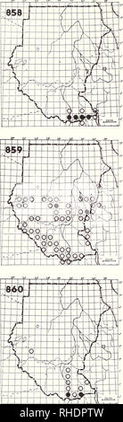 . Bonner zoologische nach 1550. Zoologie. 264. 858 Weiß der tiefsten Sparrow Weaver (1287) Plocepasser mahali melanorhynchus R BR 2, 6, 9-12 häufig Trockene acacia Grünland 859 Kastanie - gekrönte Spatz Weaver (1288) Plocepasser superciliosus R BR 2, 5, 6 gemeinsame besser bewaldetes Grasland. Bitte beachten Sie, dass diese Bilder sind von der gescannten Seite Bilder, die digital für die Lesbarkeit verbessert haben mögen - Färbung und Aussehen dieser Abbildungen können nicht perfekt dem Original ähneln. extrahiert. Bonn, Zoologisches Forschungsinstitut und Museum Alexander Koenig Stockfoto