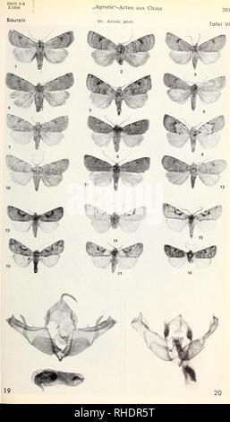 . Bonner zoologische Beiträge: Herausgeber: Zoologisches Forschungsinstitut und Museum Alexander Koenig, Bonn. Biologie; Zoologie. . Bitte beachten Sie, dass diese Bilder sind von der gescannten Seite Bilder, die digital für die Lesbarkeit verbessert haben mögen - Färbung und Aussehen dieser Abbildungen können nicht perfekt dem Original ähneln. extrahiert. Zoologisches Forschungsinstitut und Museum Alexander Koenig. Bonn: Das Forschungsinstitut Stockfoto