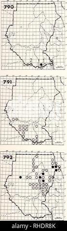 . Bonner zoologische nach 1550. Zoologie. 245 NECTARINIIDAE - SONNENVÖGEL 790 Collared Sunbird (1271) Anthreptes collaris 1) A.C. garguensis R BR 1, 4, 10, 11 gemeinsame Wälder und sekundäres Wachstum bis zu 2400 m 2) A.C. hypodilus R? NBR gelegentlich Waldränder Bemerkungen: Die unterart djamdjamensis ist entlang der südlichen äthiopischen Bor-der erwartet. 791 Violett-backed Sunbird (1274) Anthreptes longuemarei longuemarei R? BR2 gelegentlich Buchsen Wälder und Waldränder 792 östlichen Pygmy Sunbird (1236) Anthreptes metallicus R? LM-BR 1-6, 9 gemeinsame chemische Akazien Savanne, Gärten Bemerkungen: unterschiedliche Bewegungen auf Stockfoto