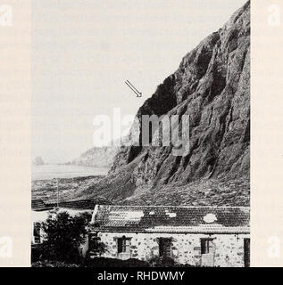 . Bonner zoologische Beiträge: Herausgeber: Zoologisches Forschungsinstitut und Museum Alexander Koenig, Bonn. Biologie; Zoologie. La Recuperación del Lagarto Gigante 473. Abb. 2: Fuga de Gorreta en primer plano y Roques de Salmor al fondo (Valle de El Golfo, El Hierro), Zona propuesta como Reserva Integral de Interés Científico. La Flecha señala el Lebensraum tatsächliche del Lagarto. Foto A. Machado. la Einführung de depredadores alóctonos (Perros y Gatos) fue La causa Erfüllungsrisiken pal de la regresión de la especie, que ha quedado reducida a la tatsächliche Población de un escaso Centenar de individuos, y Sobr Stockfoto