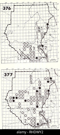 . Bonner zoologische nach 1550. Zoologie. 128. COLIIDAE - MOUSEBIRDS 376 gesprenkelte Mousebird (566) Colius striatus 1) C s. leucotis R BR 3, 5 gelegentlich Bodensaurer Wälder und Gärten 2) C.s. erlangen R NBR (5-8) Gemeinsame bodensaurer Wälder und Gärten 3) C.s. jebelensis R BR 3, 4 gemeinsame Bodensaurer Wälder, Waldränder und Gärten 4) C s. leucophthalmus R NBR gemeinsame Bodensaurer Wälder, Waldränder und Gärten 377 Blau-naped Mousebird (568) Urocolius macrourus 1) u. m. syntactus R BR 1, 2, 5, 6, 12 gemeinsamen trockenen offenen bewaldeten Wiesen, vor allem akazien Wald und Gärten. Bitte nicht Stockfoto