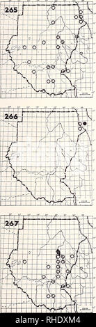 . Bonner zoologische nach 1550. Zoologie. 95. 264 Kleine Möwe (344) keine Karte Larus minutus PM (10) eine seltene; Vagrant? Küste des Roten Meeres Bemerkungen: Port Sudan 19/37 September 1926 20 unreif Vögel, Suakin 18/37 September 1927 ein Erwachsener (Madden 1927) 265 Lachmöwe (Larus ridibundus PM 345) (8-5) W SU lokal sehr häufig, gelegentlich anderswo littoral Lebensräume, Flüsse und Seen Bemerkungen: Bis 3000 in Jebel Aulia dam im Winter, wahrscheinlich an der anderen großen Dämme sowie gemeinsame. Nummern, die im AW-cent Jahre (Nikolaus 1984 a) 266 Noddy (363) Anous stolidus plumbeigularis BIN (5-9, 12) BR6r erhöht Stockfoto