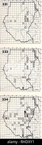 . Bonner zoologische nach 1550. Zoologie. 85. (304) 231 Alpenstrandläufer Calidris Alpina Alpina Uhr (9-4) W gemeinsamen Küste und feuchtlebensräumen Bemerkungen: Wintering regelmäßig nach Süden bis 13°N 232 Knoten (307) keine Karte Calidris Canutus (canutus) PM (3, 7) EIN S vagrant mudbanks entlang der großen Flüsse Bemerkungen: Nur zweimal von Khar-toum 15/32 (Hogg 1984, A. Pettet) 233 Curlew Sandpiper (303) Calidris ferruginea PM (8-5) A W S SU gemeinsamen großen schlammigen Flussufern und Littoral habi - tats Erläuterungen: Viele erste Jahr Vögel Oversum serviert - mer in Khartum und das Rote Meer; in Darfur nur auf Herbst Passage 234 Little Stint (305) Cali Stockfoto