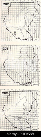 . Bonner zoologische nach 1550. Zoologie. *. 207 White-headed Plover (290) Vanellus albiceps R NBR seltene sandigen Flüssen mit felsigen Inseln 208 gekrönt Plover (281) Vanellus coronatus coronatus R LM NBR ziemlich häufig Trockene offene Dornstrauch Land 209 Long-toed Plover (293) Vanellus crassirostris crassirostris R NBR gemeinsamen zu größeren ständig Wasser mit schwebenden Vegetation beschränkt. Bitte beachten Sie, dass diese Bilder sind von der gescannten Seite Bilder, die digital für die Lesbarkeit verbessert haben mögen - Färbung und Aussehen dieser Abbildungen können nicht perfekt dem Original ähneln. extrahiert. Stockfoto