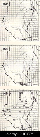 . Bonner zoologische nach 1550. Zoologie. 59. PHASIANIDAE FRANCOLINS - Wachteln, 147 Sand Partridge (188) Ammoperdix cholmleyi heyi R BR 10 relativ häufig Rocky Desert Hills 148 Blau Wachtel (213) Coturnix chinensis adansoni LM? Bin BR 9 seltene Feuchte kurze Grünland Erläuterungen: Wahrscheinlich eine Regenzeit Besucher, wenig bekannte 149 Wachteln (Coturnix coturnix Coturnix 211) PM (9-3) W lokal, die gelegentlich grassplains, kultivierungen Erläuterungen: Die Afrikanische unterart "erlan-Geri" konnte im äußersten Süden auftreten, aber wurde noch nicht aufgenommen worden. Bitte beachten Sie, dass diese Bilder aus gescannten extrahiert werden Stockfoto