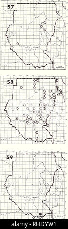 . Bonner zoologische nach 1550. Zoologie. 32. 57 Stockente (Anas platyrhynchos) 82 UHR (10-3) W seltene Flüsse, Seen Bemerkungen: der Sudan ist südlich der normalen Win-Tering Bereich (Madden 1929, Hogg 1984) 58 Krickente (88) Anas querquedula PM (8-4) A W S sehr häufig Flüsse, Seen, Sümpfe, die Pools und die Küste Bemerkungen: Große zahlen Winter im Sudan südlich von 12° N 59 African Black Duck (84) Anas sparsa leucostigma R BR 1, 2 relativ häufig bewaldeten Gebirgsbächen. Bitte beachten Sie, dass diese Bilder aus gescannten Seite Bilder, die digital für die Lesbarkeit verbessert haben mögen - Färbung und Erscheinungsbild extrahiert werden Stockfoto