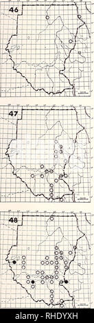 . Bonner zoologische nach 1550. Zoologie. 29. Entenvögel - ENTEN, GÄNSE 46 white-fronted goose (101) Anser albifrons albifrons PM (12) W vagrant Grün kurze Gräser Bemerkungen: nur 1920 (Bowen 1926) und erneut 1982 (Nikolaus 1984 a) 47 Fulvous Pfeifen Ente (95) Dendrocygna bicolor LM BIN? NBR ziemlich allgemein, Flüsse, Seen, Teiche und Sümpfe Erläuterungen: in der Regel weniger häufig als White-faced Whistling Duck im selben Lebensraum. Sehr häufig bei Aweil Ende August, Khartum, äh Rosires dam im Juni White-faced Whistling Duck. Bitte beachten Sie, dass diese Bilder aus gescannten Seite extrahiert werden Stockfoto