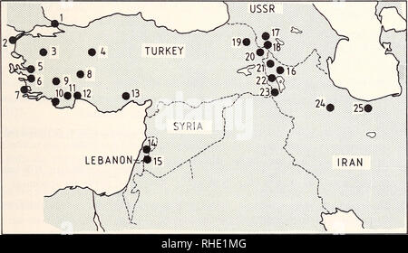 . Bonner zoologische nach 1550. Zoologie. 11 Städte und Gemeinden und die Anzahl der Exemplare, die in die Analysen (Abb. verwendet. 1): 1. Istanbul: Die Exemplare aus dieser Region verwendet werden aus zwei Quellen. Zwei Exemplare sind von Yalova, SE Istanbul (Kocabogaz Geyikdere Köyü mevkii) im anatolischen Türkei (Ref. Eiselt & Amp; Baran 1970) während einer Probe aus dem europäischen Teil von Istanbul (Ref. Mertens 1952). 2. Canakkale: 5 km südlich von Kitilbahir, Europäische Türkei (NMW 19543). Eine Probe. 3. Balikesir: dereköy (Ref. Eiselt & Amp; Baran 1970). Eine Probe. 4. Ankara: NMW (15135) Polath, Devlet Üretme CiMgi (Ref. Ei Stockfoto