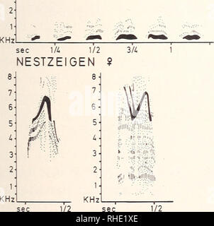 . Bonner zoologische nach 1550. Zoologie. 11 ben pro Strophe. Die lÃ¤ngste Ruffolge dauerte 5 Min. (6. 3. 1976). Die Eule lockt Orig. Artikel, selten im Flug. Das o ruft mit Balzbeginn im Win-ter, Orig. bei Nestinspektionen im Flugloch oder mit dem HÃ¶hlenboden. Spö¤ter lockt es zu BeuteÃ¼bergaben und zur FÃ¼tterung der Ãstlinge sowie zur BegrÃ¼Ãung" des 9-Brutpausen. Zu Balzbeginn brachten Ã¶ und 9 eines jungen Paares (Ca. 10 Monate) das Nestlocken im Wechselgesang. Der Laut blechern klingt beim 9 rauh und trÃ¤gt weniger weit (,, chro.Chro"; Bl. 3). Ich registriert Stockfoto