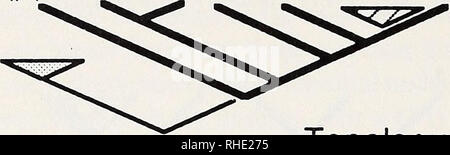 . Bonner zoologische nach 1550. Zoologie. 28 unbewurzelte Topologien von INGROUP V MIT 5 FREMDGRUPPEN und REROOTED TOPOLOGIEN von INGROUP V MIT 6 FREMDGRUPPEN: #1 #1 #2 #3. Topologie 1. Bitte beachten Sie, dass diese Bilder sind von der gescannten Seite Bilder, die digital für die Lesbarkeit verbessert haben mögen - Färbung und Aussehen dieser Abbildungen können nicht perfekt dem Original ähneln. extrahiert. Bonn, Zoologisches Forschungsinstitut und Museum Alexander Koenig Stockfoto