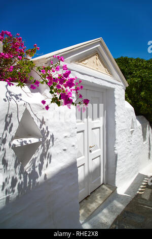 Ansicht der traditionellen neoklassischen Häuser mit wunderschönen Bougainvillea Blüten in pictruesque Straßen der Insel Andros, Kykladen, Griechenland Stockfoto