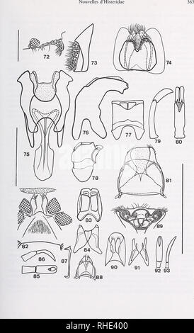 . Bonner zoologische Beiträge: Herausgeber: Zoologisches Forschungsinstitut und Museum Alexander Koenig, Bonn. Biologie; Zoologie. . Bitte beachten Sie, dass diese Bilder sind von der gescannten Seite Bilder, die digital für die Lesbarkeit verbessert haben mögen - Färbung und Aussehen dieser Abbildungen können nicht perfekt dem Original ähneln. extrahiert. Zoologisches Forschungsinstitut und Museum Alexander Koenig. Bonn: Das Forschungsinstitut Stockfoto